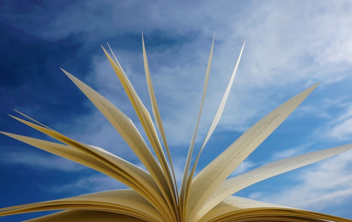 1. 機場(chǎng)類(lèi)手冊文件.jpg